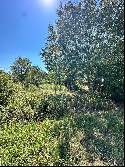 5+/- Acres of Vacant Land to Build Your Dream Home in the Heart of Loganville