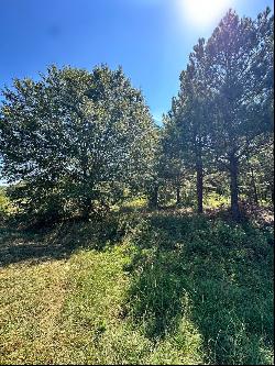 5+/- Acres of Vacant Land to Build Your Dream Home in the Heart of Loganville