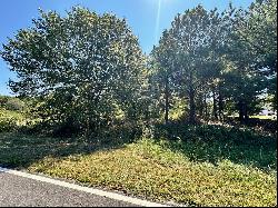 5+/- Acres of Vacant Land to Build Your Dream Home in the Heart of Loganville