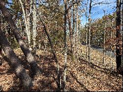 Mountain Lookout Drive