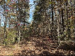 Mountain Lookout Drive