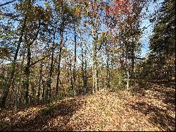 Mountain Lookout Drive