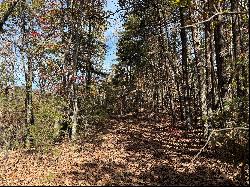 Mountain Lookout Drive