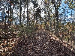 Mountain Lookout Drive