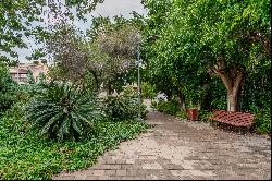 Detached House in the north of Tel Aviv