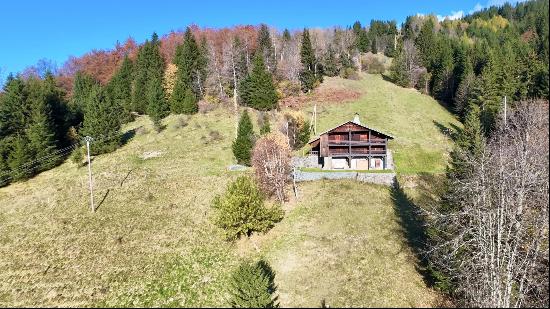 Vente - Ferme La Clusaz - 1a 770a 000a 