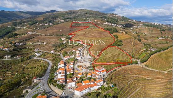 Wine estate for sale in the Demarcated Region, Douro Valley, Portugal