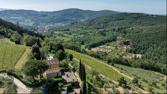 A splendid boutique winery with two farmhouses near Florence