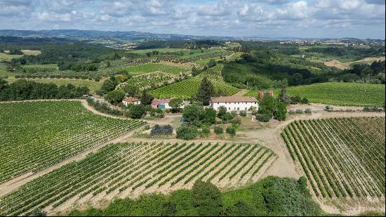 Excellent opportunity to create a new winery and business in Chianti