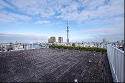 City House Asakusa Station Court