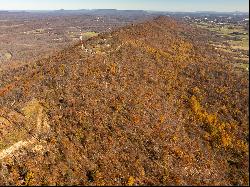 Radio Tower Road and Tuscarora Pike, Martinsburg, WV 25403