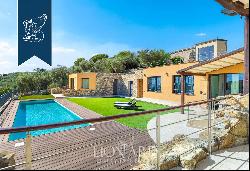 Exclusive newly renovated villa with olive grove and panoramic pool for sale near Imperia