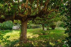 Aubagne - Family Home with vast garden