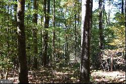 32.98 ACRES Zion Hill Road, Ellijay GA 30540