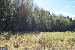 32.98 ACRES Zion Hill Road, Ellijay GA 30540