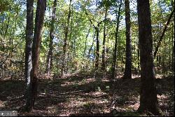 32.98 ACRES Zion Hill Road, Ellijay GA 30540