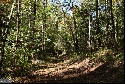 32.98 ACRES Zion Hill Road, Ellijay GA 30540