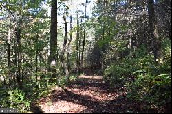 32.98 ACRES Zion Hill Road, Ellijay GA 30540