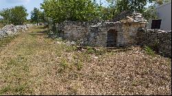 Agricultural Land With An Olive Grove, Istra, 52212