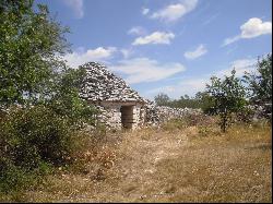 Agricultural Land With An Olive Grove, Istra, 52212