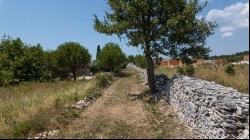 Agricultural Land With An Olive Grove, Istra, 52212