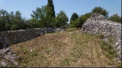 Agricultural Land With An Olive Grove, Istra, 52212