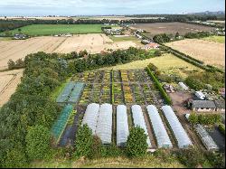 Macplants Berrybank Nursery, 5 Boggs Holdngs, Pencaitland, East Lothian, EH34 5BA