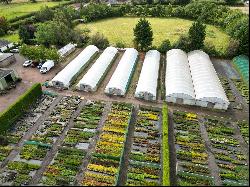 Macplants Berrybank Nursery, 5 Boggs Holdngs, Pencaitland, East Lothian, EH34 5BA