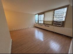 3950 N Lake Shore Drive #1507B, Chicago IL 60613