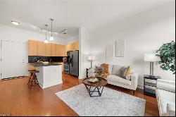 810 W 4th Street Unit 201, Winston-Salem NC 27101