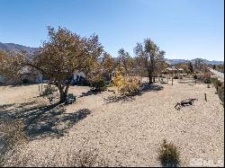 3620 Esmeralda, Washoe Valley NV 89704