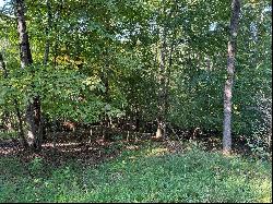 Lot 2 Cedar Bluff Ln, Hardy VA 24101