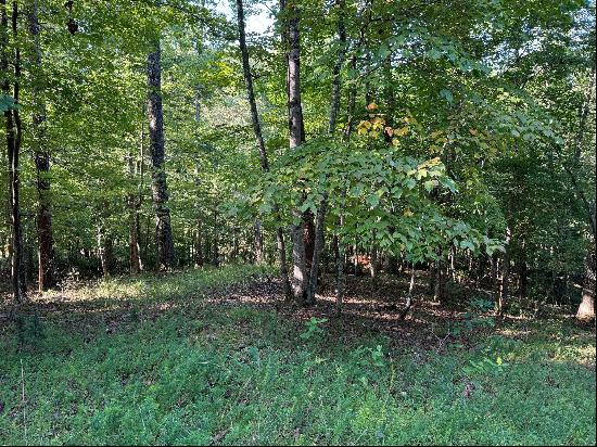 Lot 2 Cedar Bluff Ln, Hardy VA 24101