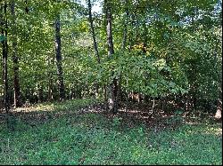 Lot 2 Cedar Bluff Ln, Hardy VA 24101