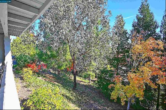 1516 Golden Rain Rd Unit 3, Walnut Creek CA 94595