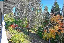 1516 Golden Rain Rd #3, Walnut Creek CA 94595