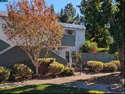 1516 Golden Rain Rd #3, Walnut Creek CA 94595