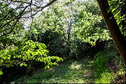 Le Mont De La Guerande, St. Martin, Jersey, Channel Islands, JE3 6DZ