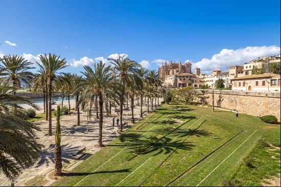 Apartment, Palma, Mallorca, 07008