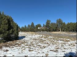 34 White Tail Lane, Ridgway CO 81432