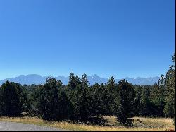 34 White Tail Lane, Ridgway CO 81432