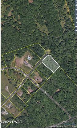 Lot 55 & Tuscarora Court, Beach Lake PA 18405