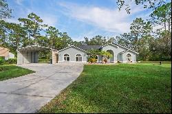 27949 Ravens Brook Road, Wesley Chapel FL 33544