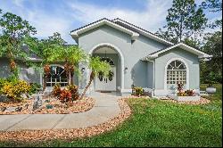 27949 Ravens Brook Road, Wesley Chapel FL 33544