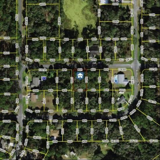 596 W Grapewood Lane, Dunnellon FL 34434