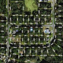 596 W Grapewood Lane, Dunnellon FL 34434