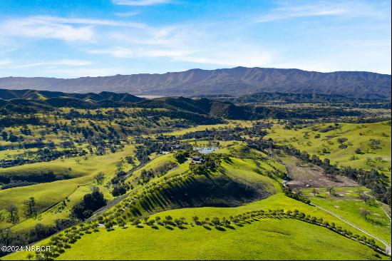 Santa Ynez