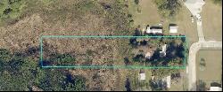 12228 SE 126th Court, Ocklawaha FL 32179