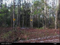 Lot 27B Eulonia Lake Estates Road SW, Townsend GA 31331