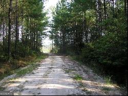 Jamestown Road, Waycross GA 31503